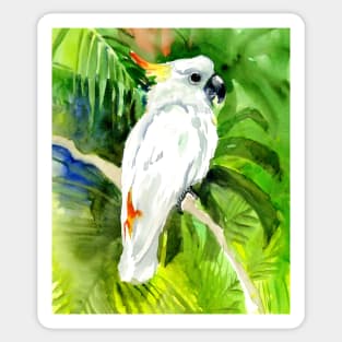 White Cockatoo in the Jungle Sticker